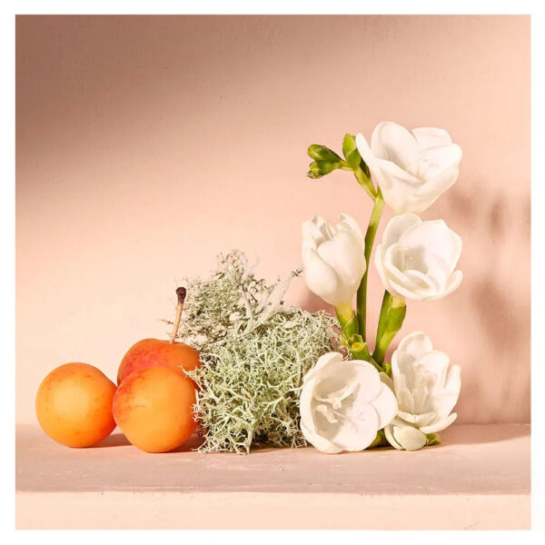 Nomade Chloé - Damenparfum - Eau de Parfum - Image 3